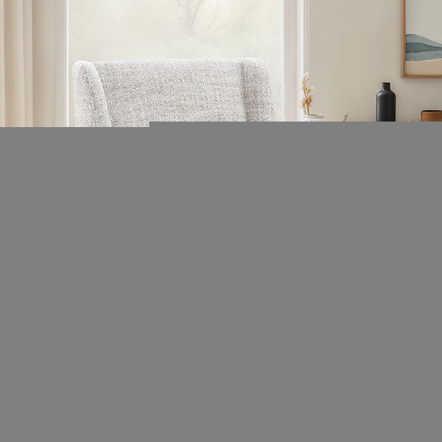 Fede Dining Side Chair (1/CTN)