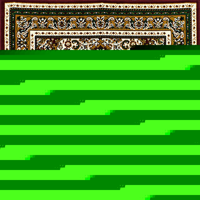 Shinta Area Rug